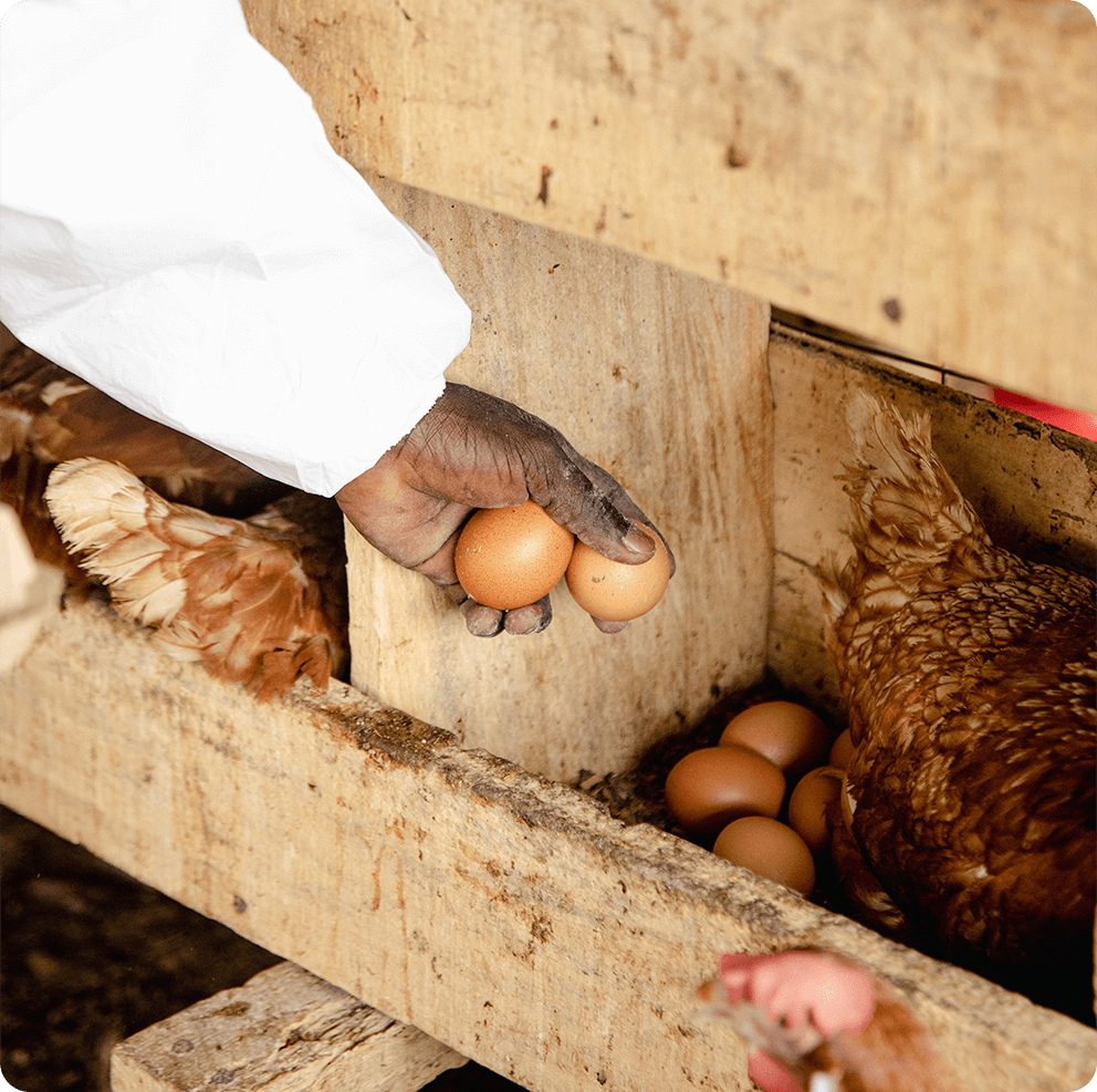 Modern Aluminum Window Frame - A2 Enterprise