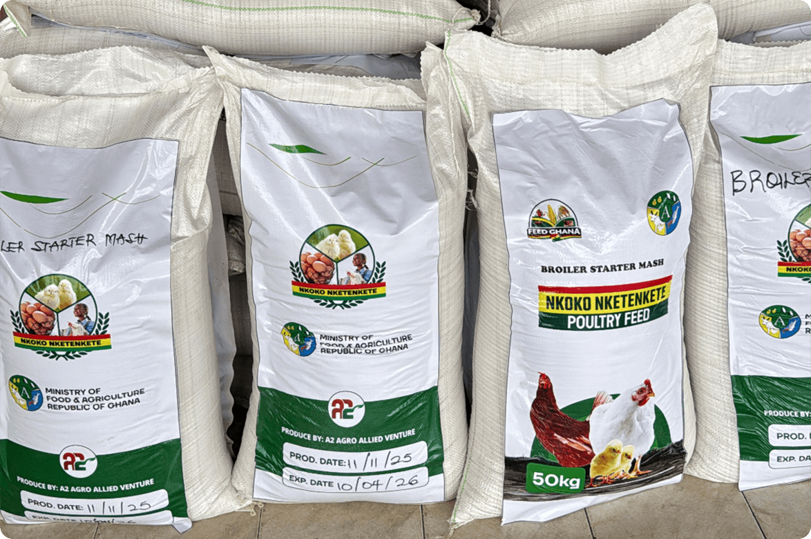 Nkoko Nketenkete Poultry Feed arranged