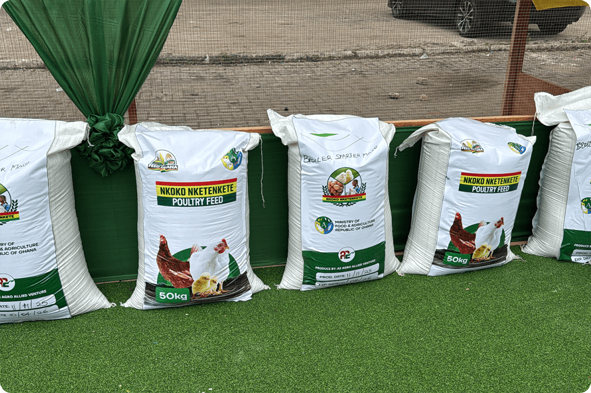 Nkoko Nketenkete Poultry Feed arranged