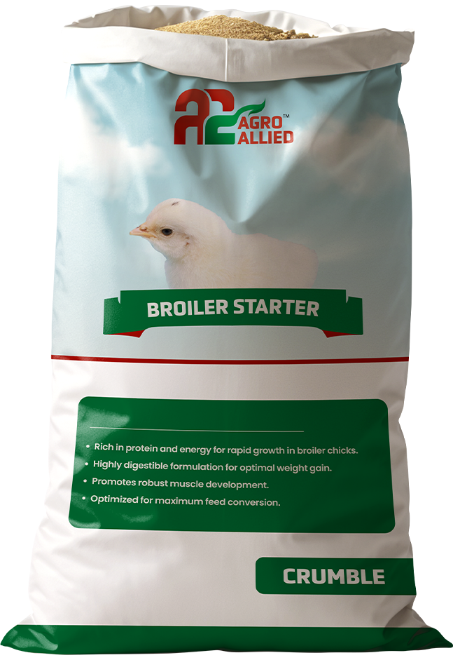 Broiler Starter Pellets Product